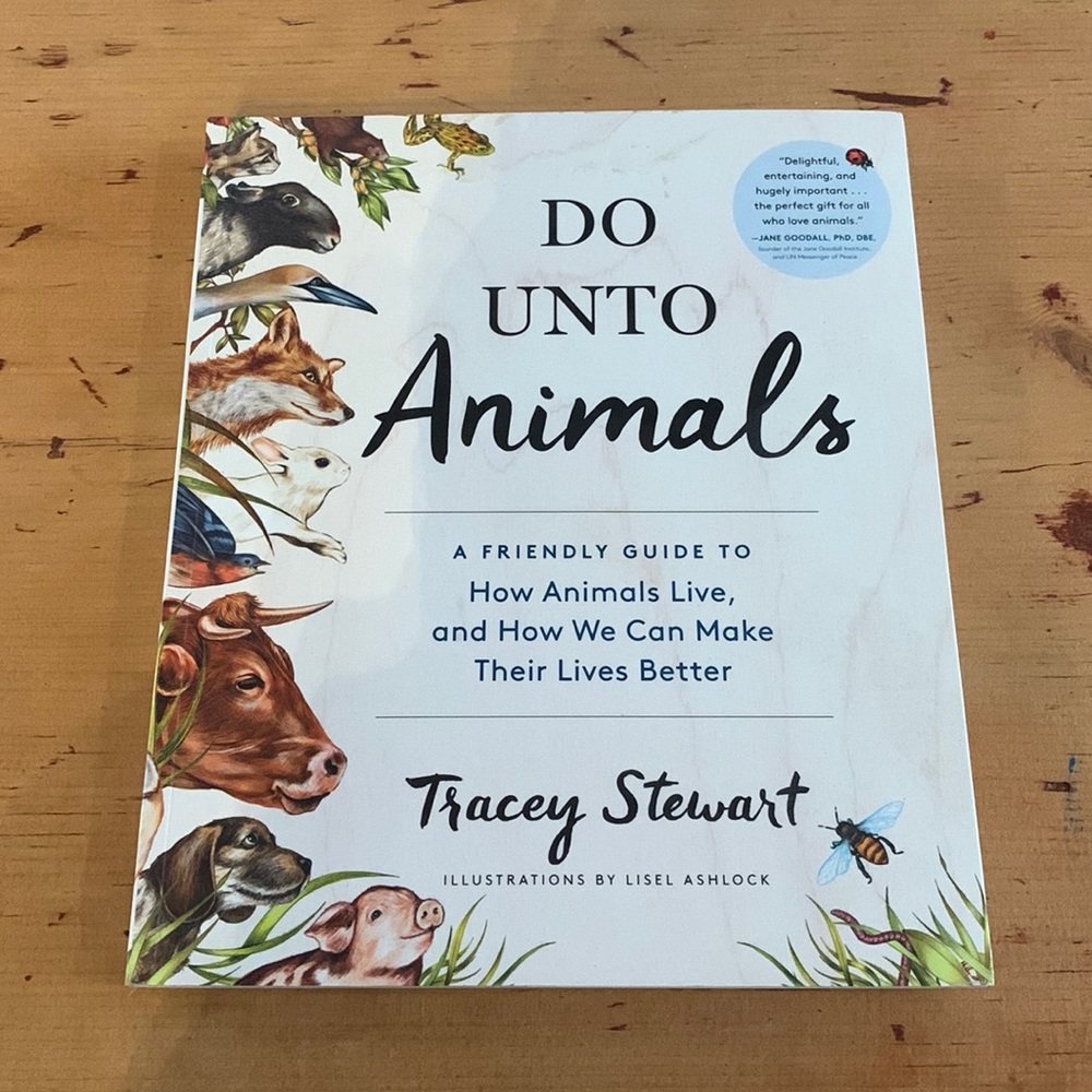 Do Undo Animals by Tracey Stewart-Book